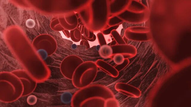 Показания к ангиопротекции